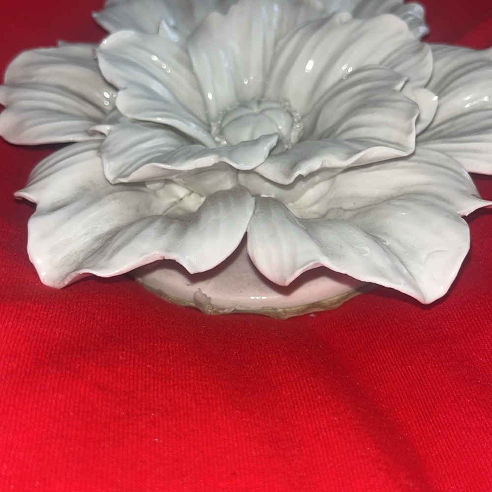 Tozai - Picture 2 of 8